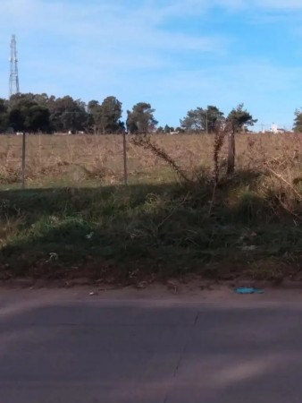 Foto Campo en Venta en Mar Del Plata, Buenos Aires - U$D 170.000 - pix60421816 - BienesOnLine