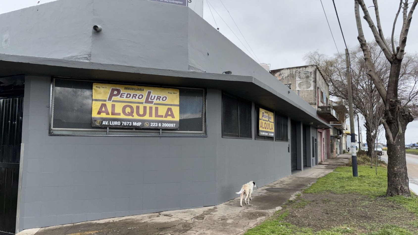 GALPON 450M2 CUB. CHAMPAGÑAT Y QUINTANA