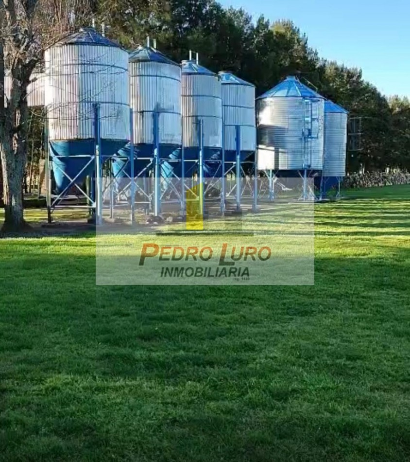 16 HECTAREAS A 1000 METROS DE LA RUTA. RUTA 88 KM 42,5