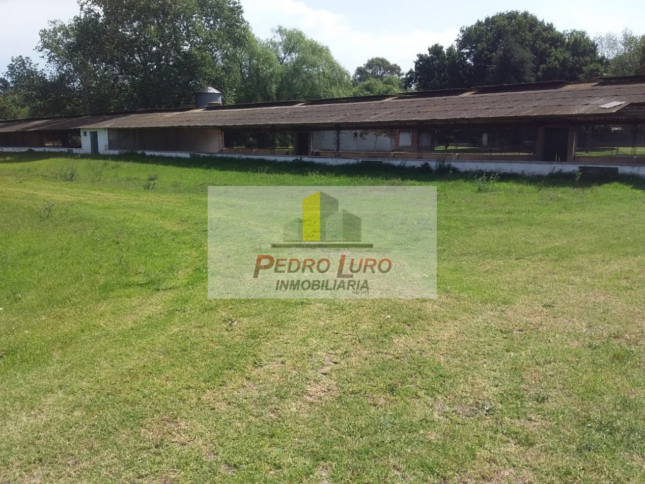 AVICOLA - CAMINO A MIRAMAR KM 12