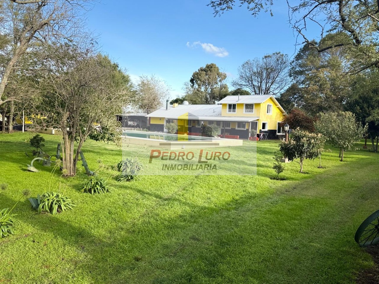 16 HECTAREAS A 1000 METROS DE LA RUTA. RUTA 88 KM 42,5