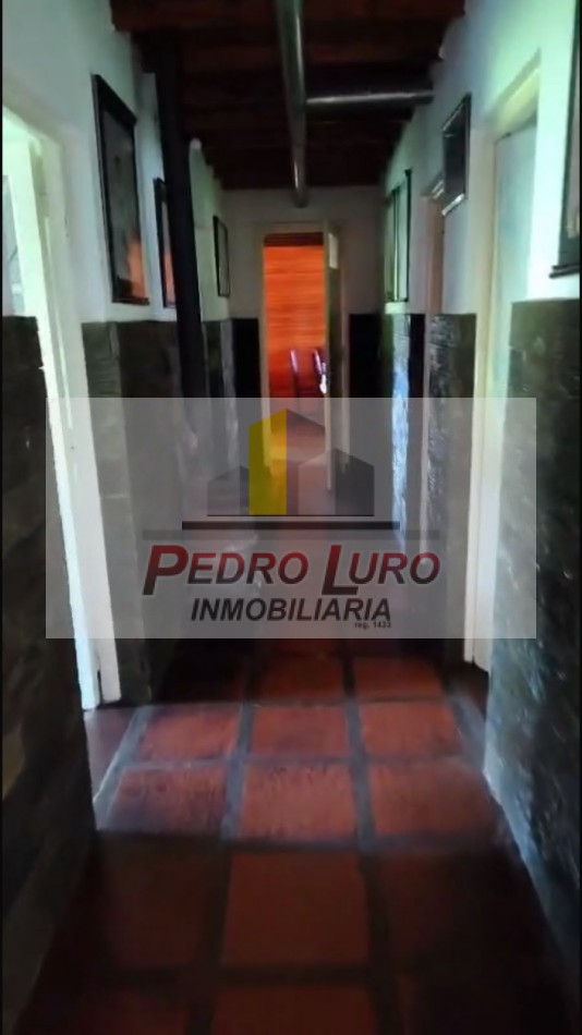 16 HECTAREAS A 1000 METROS DE LA RUTA. RUTA 88 KM 42,5