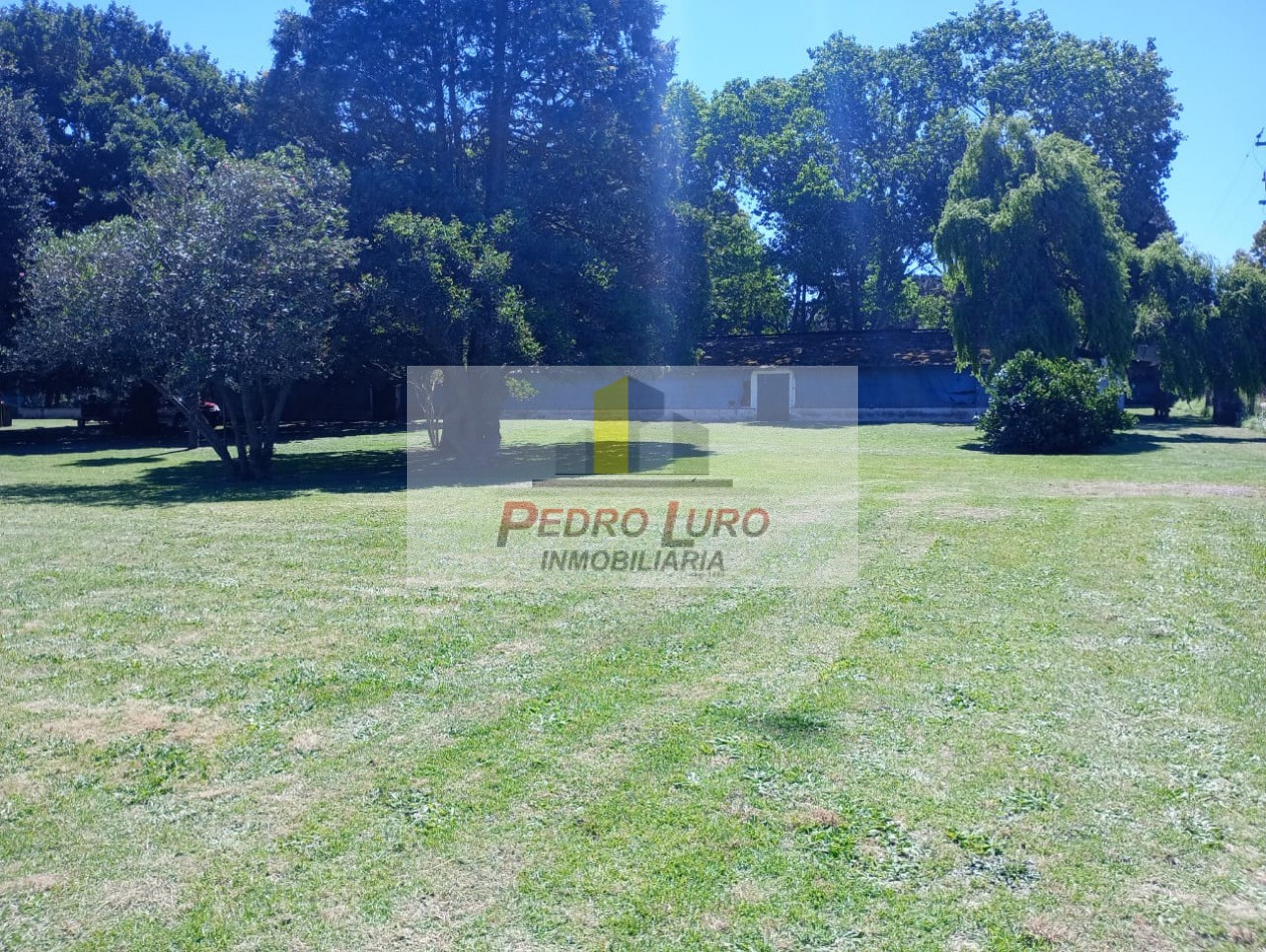 AVICOLA - CAMINO A MIRAMAR KM 12