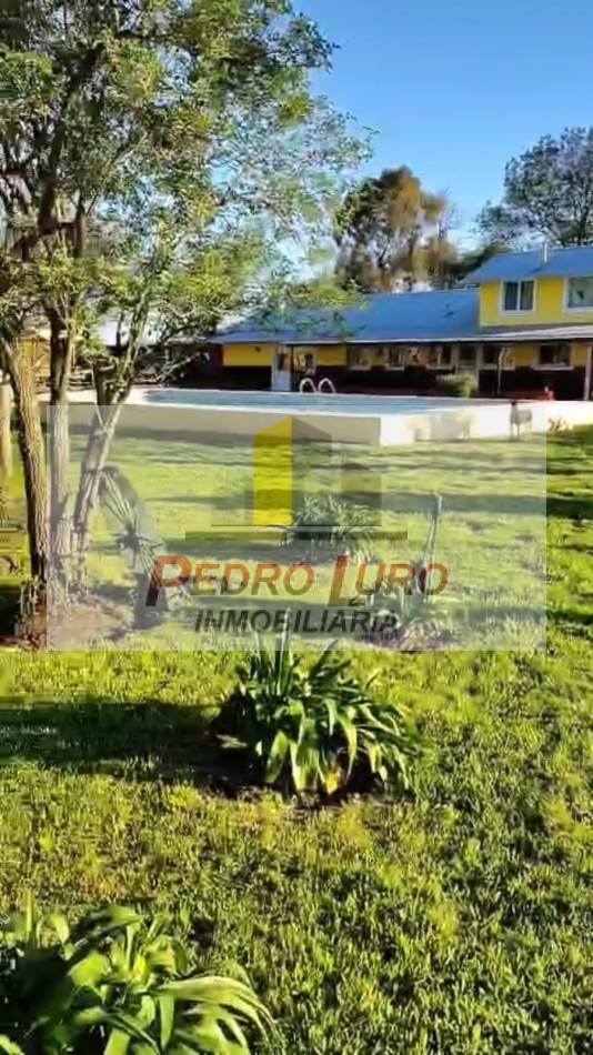 16 HECTAREAS A 1000 METROS DE LA RUTA. RUTA 88 KM 42,5