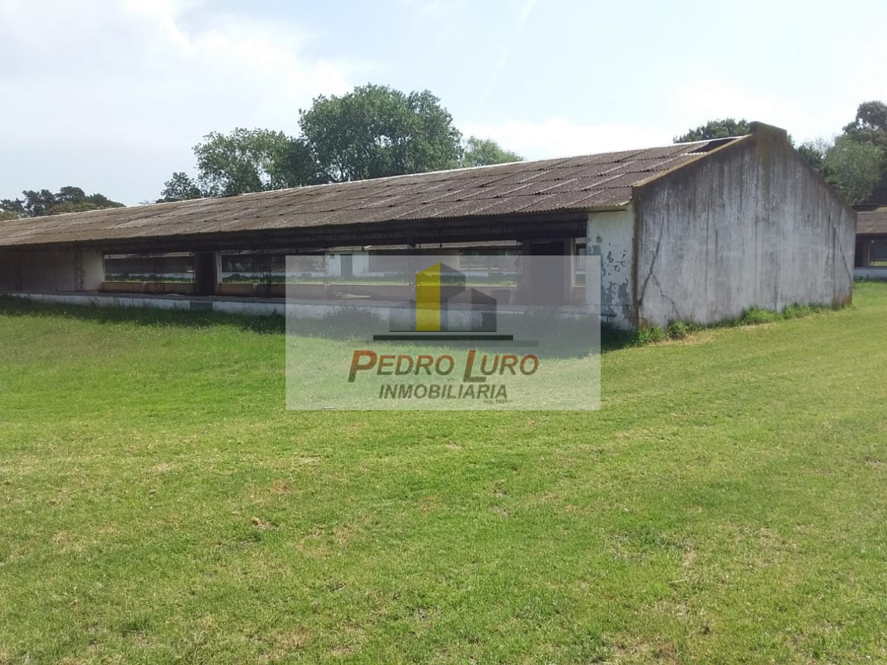 AVICOLA - CAMINO A MIRAMAR KM 12