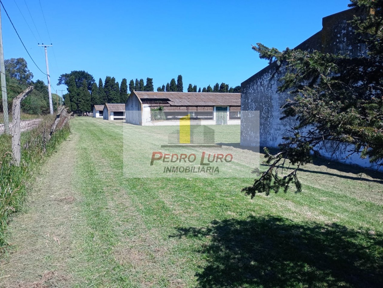 AVICOLA - CAMINO A MIRAMAR KM 12