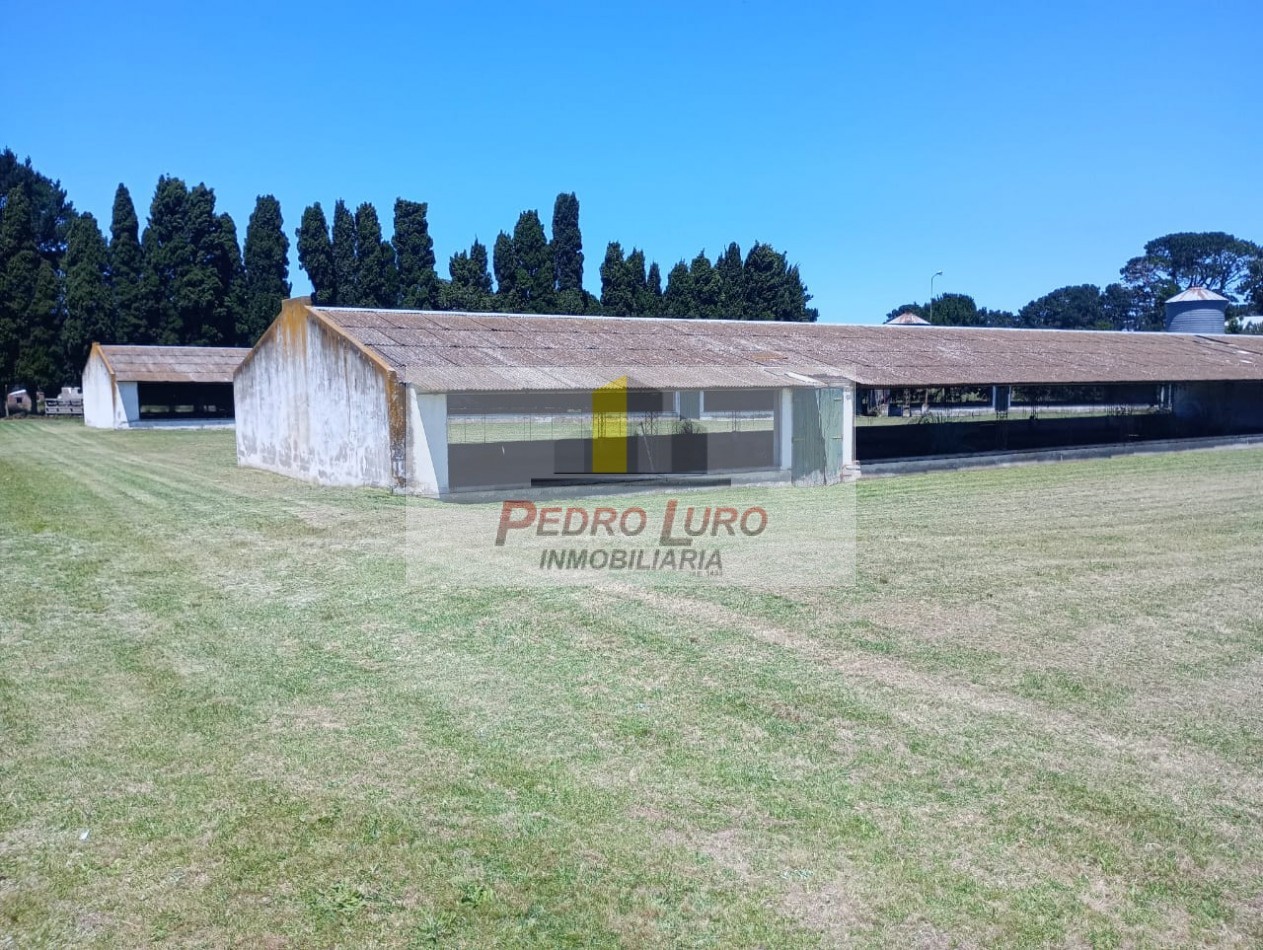 AVICOLA - CAMINO A MIRAMAR KM 12