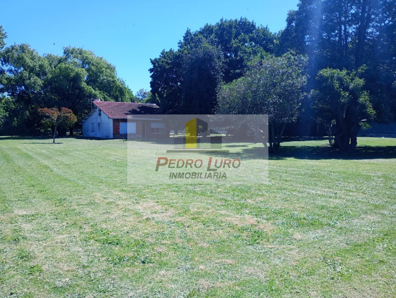 AVICOLA - CAMINO A MIRAMAR KM 12