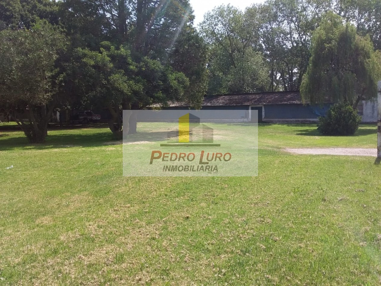 AVICOLA - CAMINO A MIRAMAR KM 12