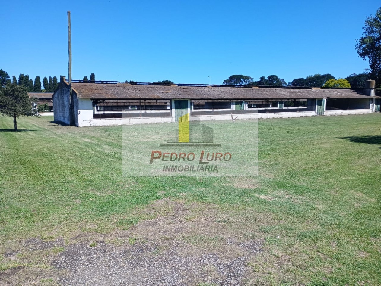 AVICOLA - CAMINO A MIRAMAR KM 12