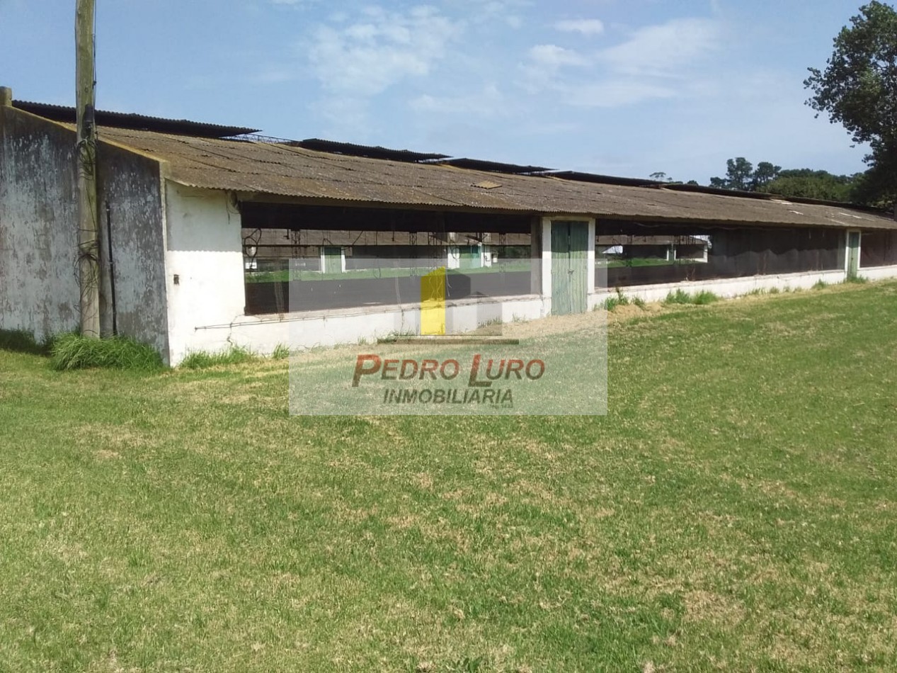 AVICOLA - CAMINO A MIRAMAR KM 12