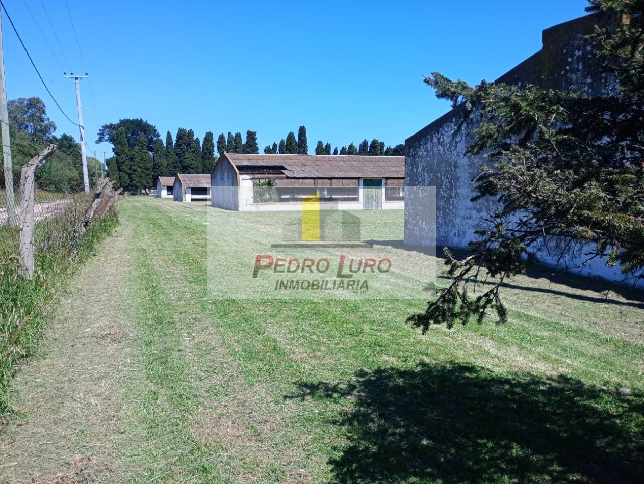 AVICOLA - CAMINO A MIRAMAR KM 12