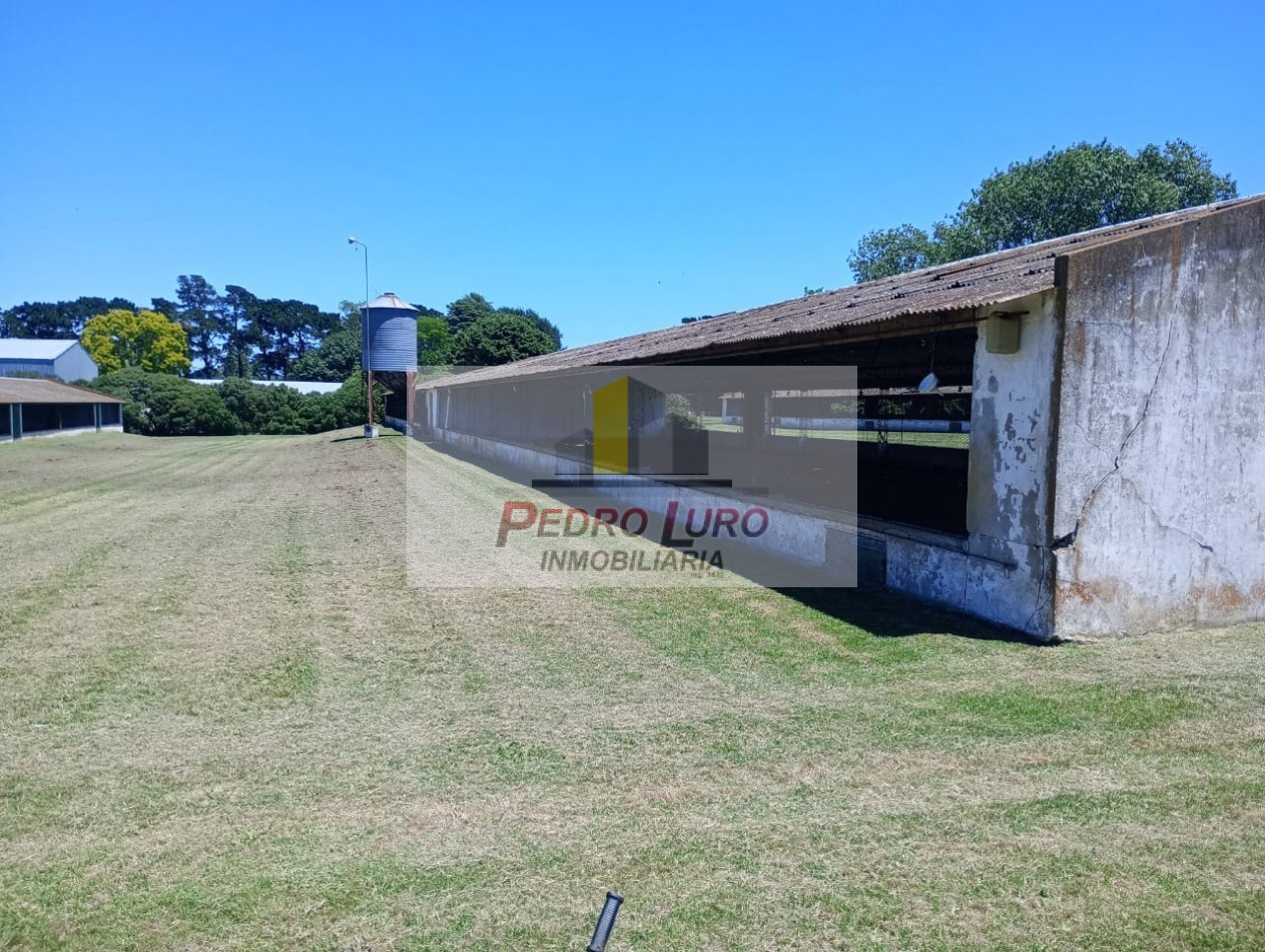 AVICOLA - CAMINO A MIRAMAR KM 12