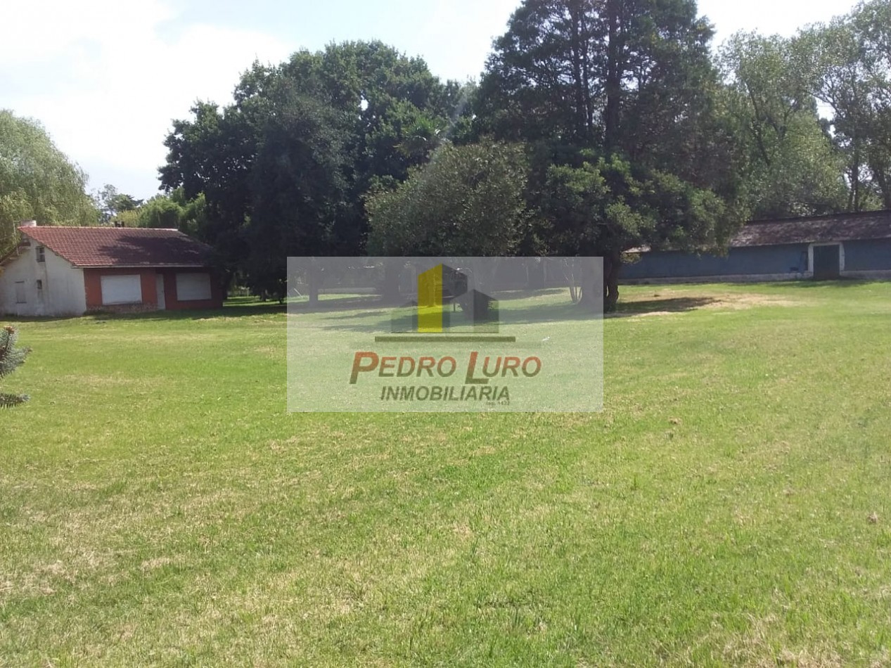 AVICOLA - CAMINO A MIRAMAR KM 12