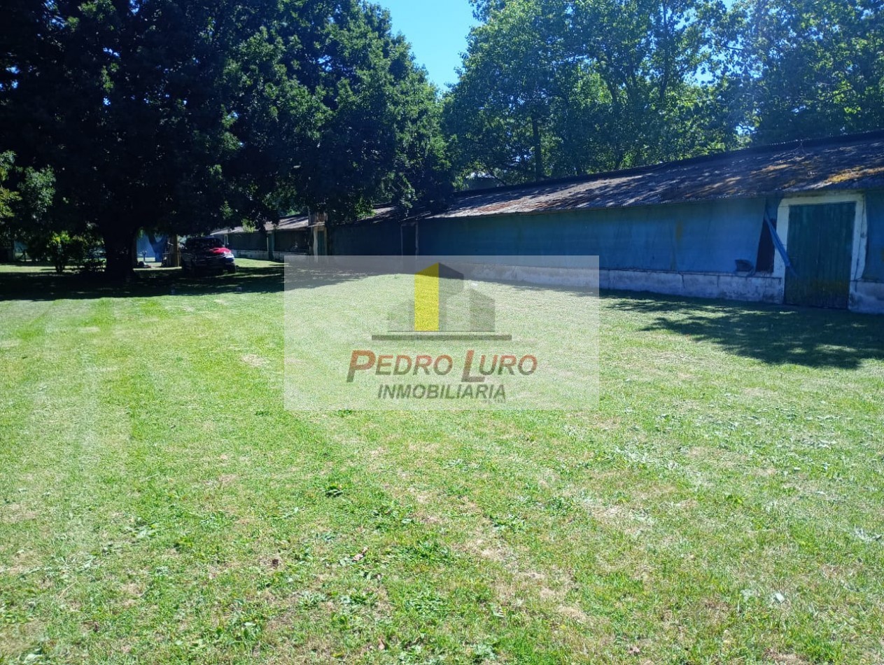 AVICOLA - CAMINO A MIRAMAR KM 12