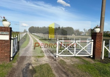 16 HECTAREAS A 1000 METROS DE LA RUTA. RUTA 88 KM 42,5